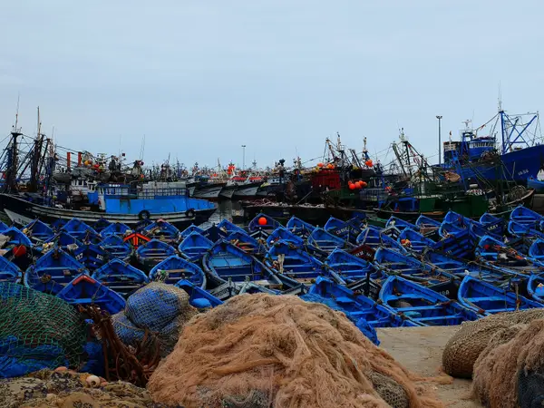 The fishing port of Essaouira