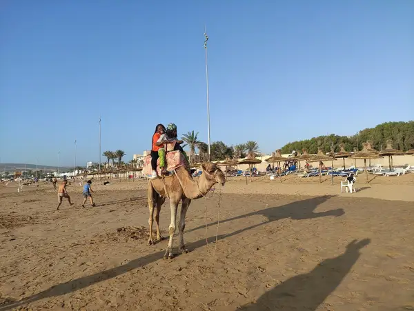 Two visitors on a camel on Agadir beach, with sunshades behind