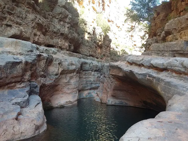 Paradise Valley