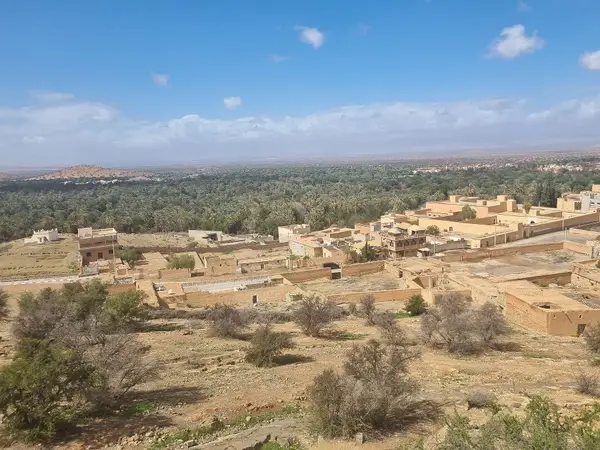 Palm groves of the Tiout oasis near Taroudant